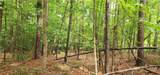 0000 Rabbit Farm Road - Photo 13