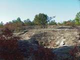 0000 Rabbit Farm Road - Photo 15