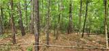 0000 Rabbit Farm Road - Photo 16