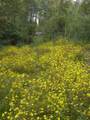 0000 Rabbit Farm Road - Photo 2