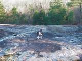 0000 Rabbit Farm Road - Photo 21