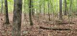 0000 Rabbit Farm Road - Photo 25