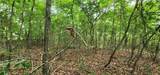 0000 Rabbit Farm Road - Photo 26