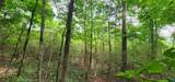 0000 Rabbit Farm Road - Photo 28