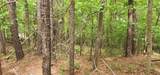 0000 Rabbit Farm Road - Photo 5