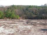 0000 Rabbit Farm Road - Photo 7