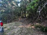 330 Wild Azalea Trail - Photo 17