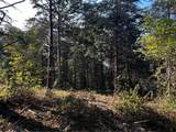 330 Wild Azalea Trail - Photo 19