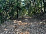 330 Wild Azalea Trail - Photo 28