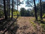 330 Wild Azalea Trail - Photo 29