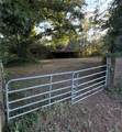 488 Atlanta Highway - Photo 3
