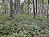 Lot 4 Norton Ridge - Photo 6