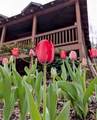 857 Talking Rock Falls - Photo 1