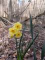 857 Talking Rock Falls - Photo 25