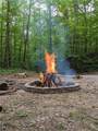 857 Talking Rock Falls - Photo 5