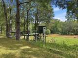 1940 Macedonia Road - Photo 4