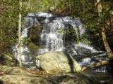 37 Petit Ridge Drive - Photo 14