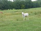 1650 Locklin Cemetery Road - Photo 18