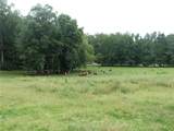 1650 Locklin Cemetery Road - Photo 19