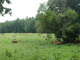 1650 Locklin Cemetery Road - Photo 26