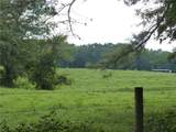 1650 Locklin Cemetery Road - Photo 28