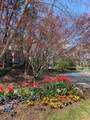 1507 Wynnes Ridge Circle - Photo 16