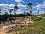 134 Twisted Oak Road - Photo 2