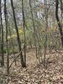 0 Old Bill Cook Road - Photo 6