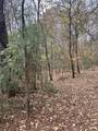 0 Old Bill Cook Road - Photo 7