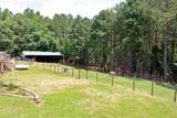 3129 Etchison Road - Photo 38