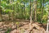 288 Blazingstar Trail - Photo 4