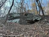 1649 Moss Patch Trail - Photo 8