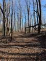 6180 Burnt Mountain Road - Photo 10