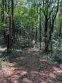 6180 Burnt Mountain Road - Photo 11