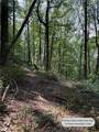 6180 Burnt Mountain Road - Photo 14
