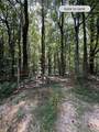 6180 Burnt Mountain Road - Photo 16