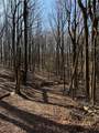 6180 Burnt Mountain Road - Photo 3