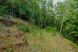 0 Dusty Danno Trail - Photo 10