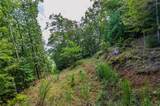 0 Dusty Danno Trail - Photo 12