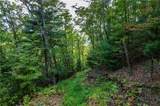 0 Dusty Danno Trail - Photo 13
