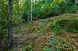 0 Dusty Danno Trail - Photo 14