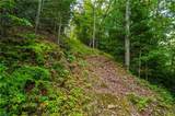 0 Dusty Danno Trail - Photo 15