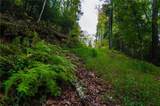 0 Dusty Danno Trail - Photo 16