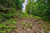 0 Dusty Danno Trail - Photo 9