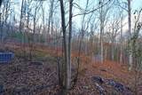 254 Mountain Woods Road - Photo 42