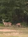 1252 Paris Mountain Road - Photo 91