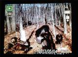 1252 Paris Mountain Road - Photo 92
