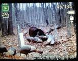 1252 Paris Mountain Road - Photo 93