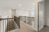 501 Lupin Circle - Photo 13