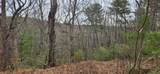 361 Vista Dell Lane - Photo 9
